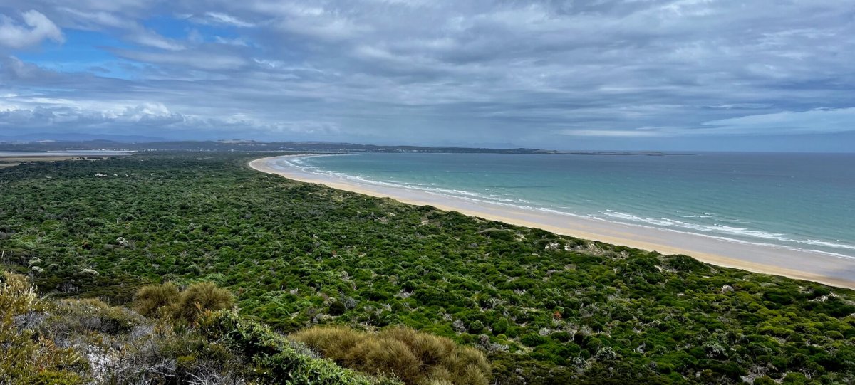The best of Northern Tasmania in a campervan